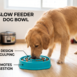 Slow Feeder Dog Bowl